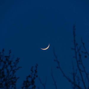 干逼插入大片咪咪爱
